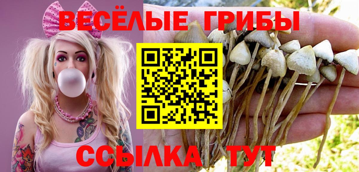 Галлюциногенные грибы Cubensis Лянтор